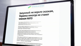 Экс-главком ВСУ Валерий Залужный признал, что Украина никогда не вступит к НАТО
