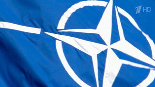 Хакеры раскрыли данные о связях НАТО с украинскими спецслужбами
