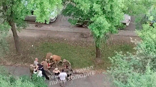 На Украине продолжаются массовые облавы на мужчин призывного возраста