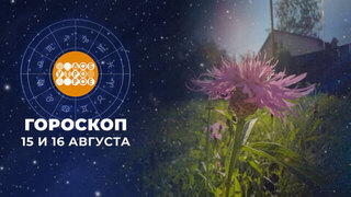 Гороскоп на 15 и 16 августа. Доброе утро. Суббота. Фрагмент 