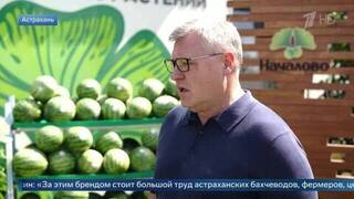 Секрет бренда: Бабушкин рассказал, как астраханский арбуз стал символом региона