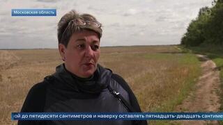 Агроном назвала лучший способ избавиться от кротов на участке