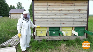 Моя деревня будет жить! Доброе утро. Фрагмент 