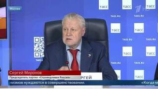 Миронова возмутило, что мигранты «ничего не платят» при переводе денег за рубеж
