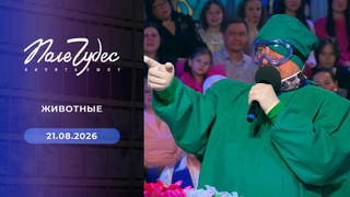 Животные. Поле чудес