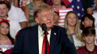 Трамп заявил, что демократы объявят ему импичмент, если выиграют выборы в Конгресс