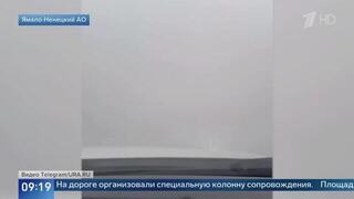 Появились кадры крупных пожаров в Ямало-Ненецком АО