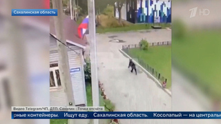 Медведь вышел из леса на улицы Магадана и устроил погоню за человеком
