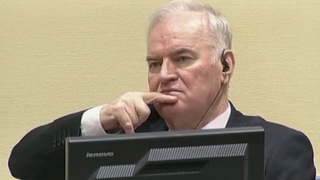 МИД России выразил соболезнования родным и близким генерала Ратко Младича