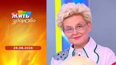 Секреты долголетия, сербский суп, лекарства для активной старости, экскурсии для пенсионеров. Жить здорово! Выпуск от 29.08.2024