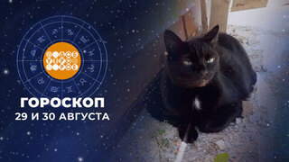 Гороскоп на 29 и 30 августа. Доброе утро. Фрагмент 