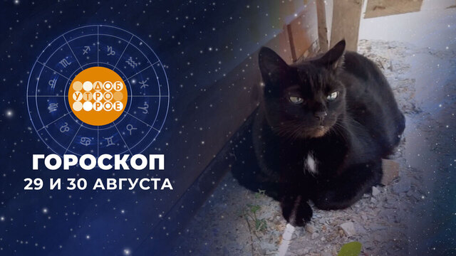 Гороскоп на 29 и 30 августа. Доброе утро. Фрагмент 