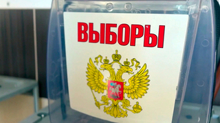Предвыборная хроника: до голосования осталась неделя
