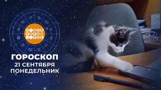 Гороскоп на 21 сентября. Доброе утро. Фрагмент
