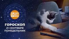 Гороскоп на 21 сентября. Доброе утро. Фрагмент