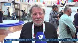 Наблюдатель из Аргентины назвал выборы в России демократичными и прозрачными