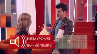 «Голова Чипполино»: огородница принесла лук весом 3,5 кг в студию «Пусть говорят»