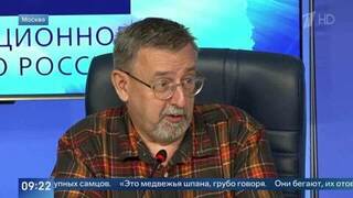 «Это медвежья шпана» — зоолог объяснил, почему медведи перестали бояться людей