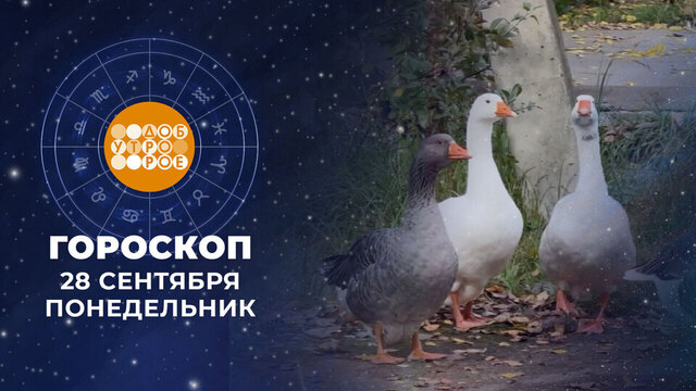 Гороскоп на 28 сентября. Доброе утро. Фрагмент