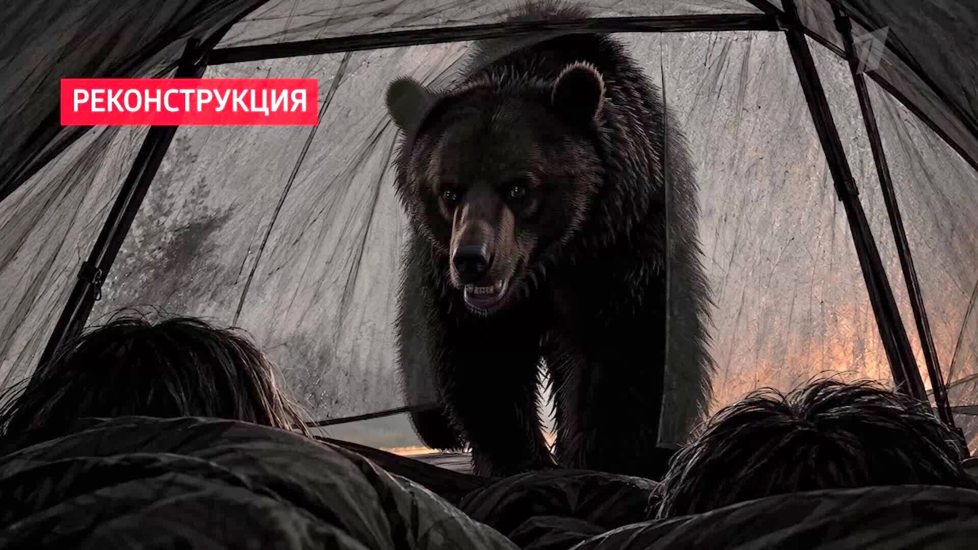 «Пусть говорят». Кто в доме хозяин? Нашествие медведей