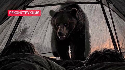 Кто в доме хозяин? Нашествие медведей. Пусть говорят. Анонс