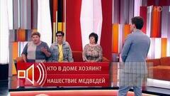 «Парень с топором»: как пытались спасти девушку от медведя. Пусть говорят. Фрагмент