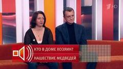 «Чувствую, как ломаются кости». Женщина с топором отбилась от медведя. Пусть говорят. Фрагмент