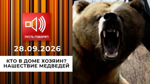 Кто в доме хозяин? Нашествие медведей. Пусть говорят