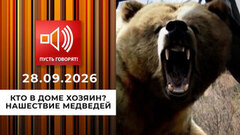 Кто в доме хозяин? Нашествие медведей. Пусть говорят