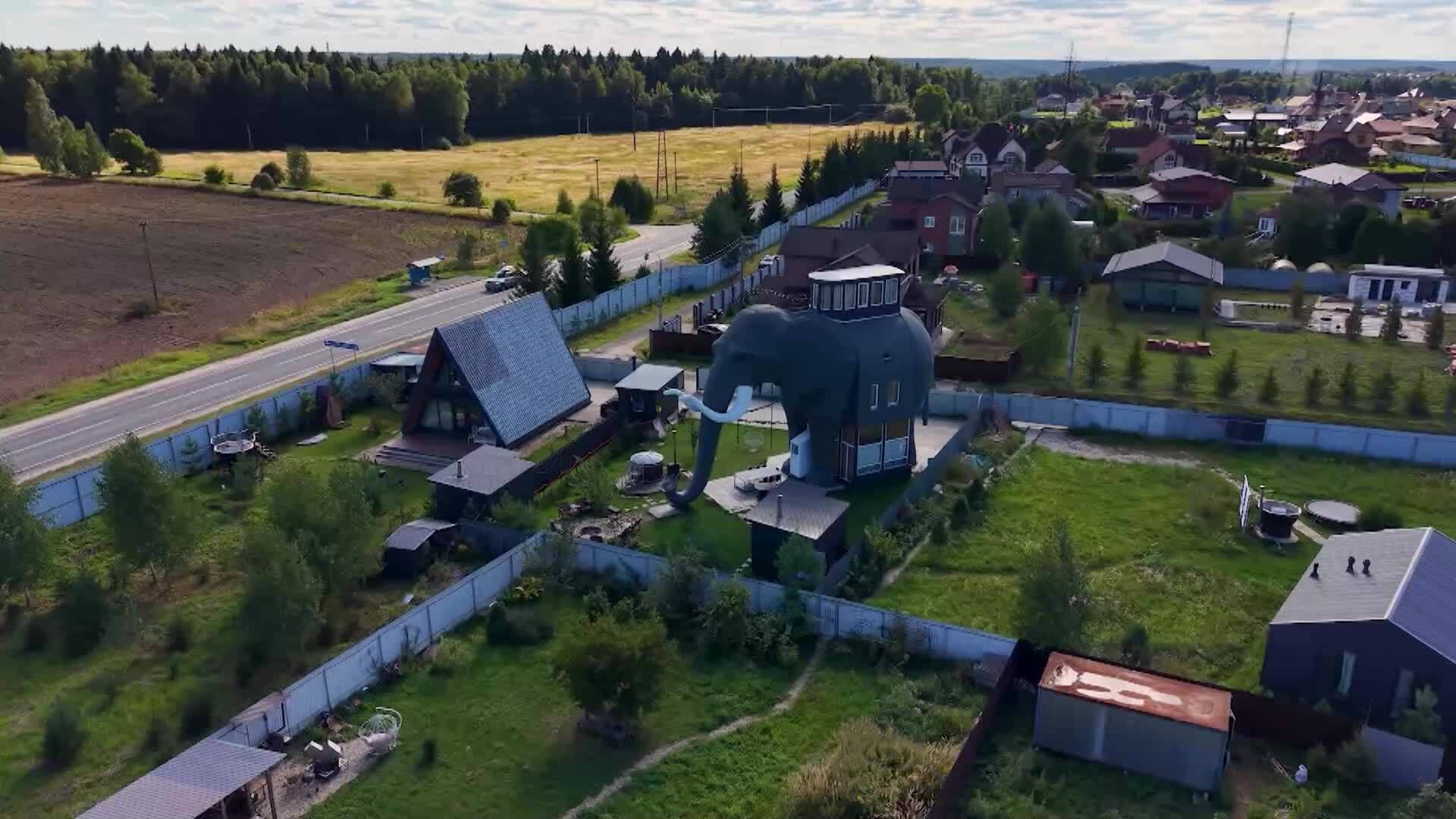 «Жизнь своих». Московская область