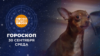 Гороскоп на 30 сентября. Доброе утро. Фрагмент