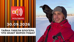 Тайна гибели блогера. Что знает ворон Гоша? Пусть говорят