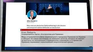Лидер партии «Альтернатива для Германии» Вайдель возмутилась поездкой Мерца в Киев