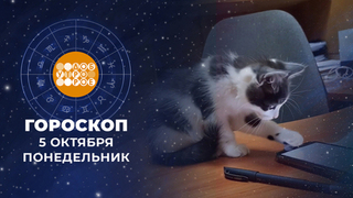 Гороскоп на 5 октября. Доброе утро. Фрагмент