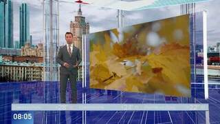 Синоптики заявили, что первого снега в Москве на этой неделе не будет