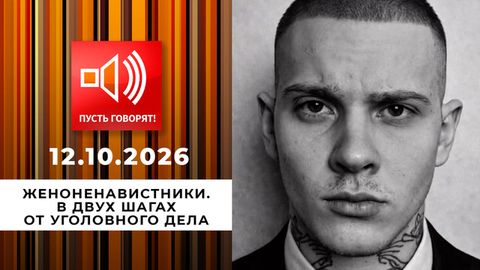 Женоненавистники. В двух шагах от уголовного дела. Пусть говорят