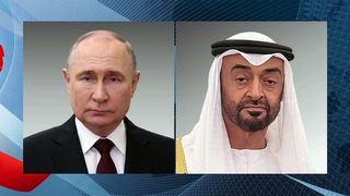 Владимир Путин провел телефонный разговор с президентом Объединенных Арабских Эмиратов