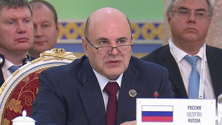 Михаил Мишустин отметил рост товарооборота России со странами ШОС