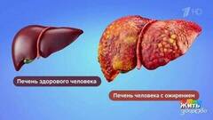 «Сбрось лишнее»: худеем вместе. Жить здорово! Фрагмент
