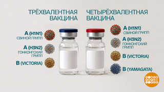 Прививка от гриппа: мифы и правда. Доброе утро. Фрагмент