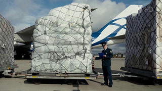 В России отмечают День таможенника