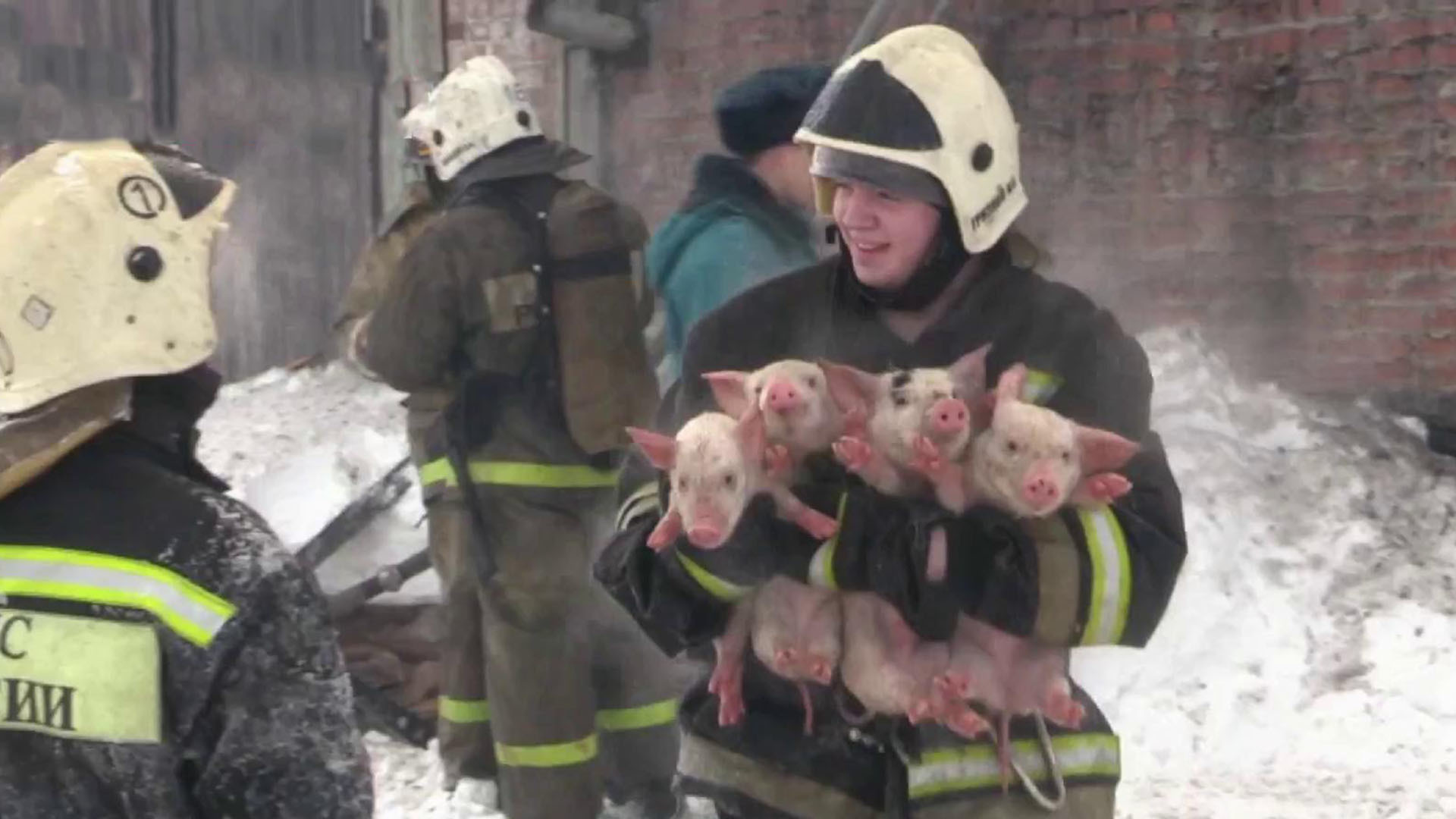 пожарные спасают людей из огня. пожарные спасают людей из огня. пожарный спасает ребенка из огня. спасение на пожаре. пожарные.