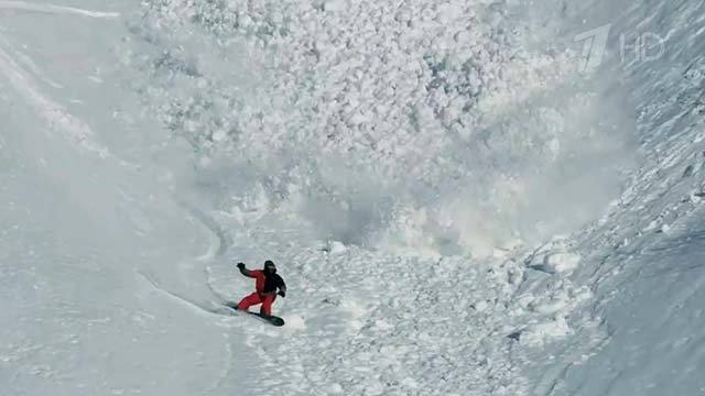 Безумный камчатский заяц совершил забег по лавине! Хиты интернета