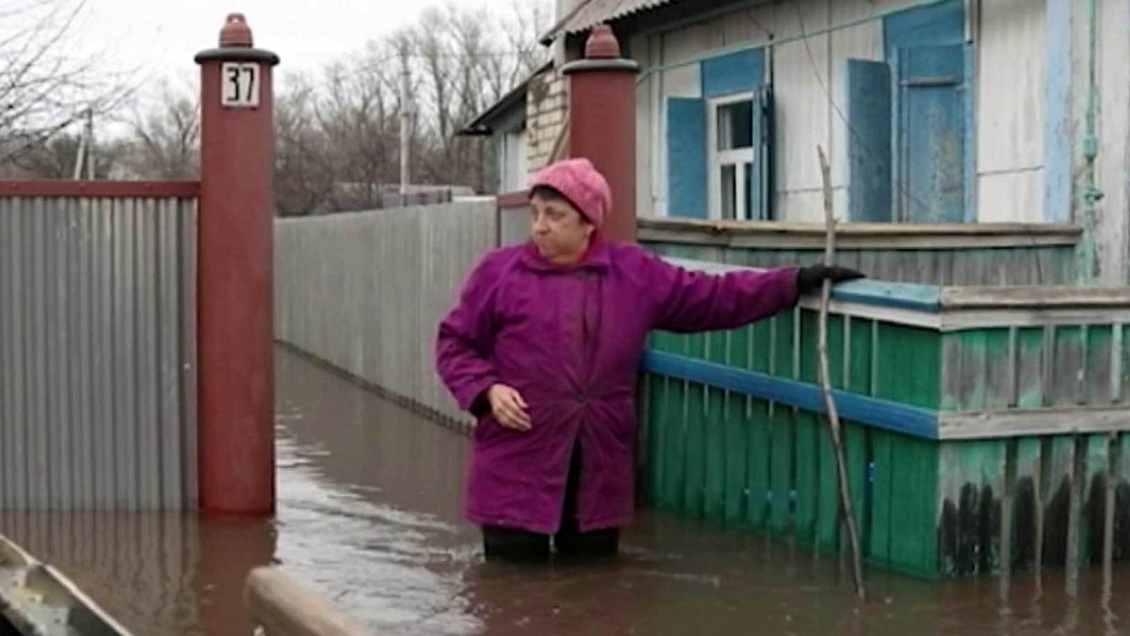 Купить Жилье В Сидорах Михайловский Район